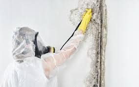 Gaithersburg, MD Mold Prevention & Removal  Company